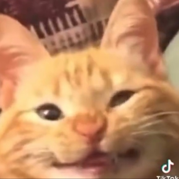 Meet your Posher, Bryan - Picture 1 of 1